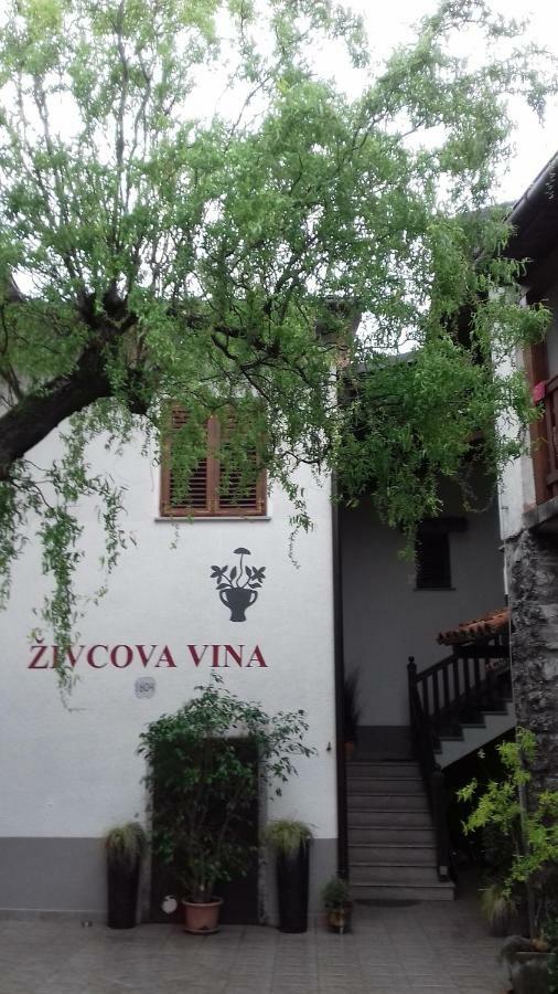Apartmaji Pri Zivcovih Dutovlje Экстерьер фото